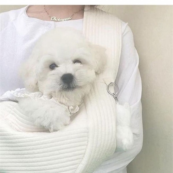페오펫몰,[여름맞이특가]  예보들 강아지 슬링백 포대기 이동가방 이동장