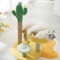 고양이 선인장 캣타워 스크래쳐 집안꾸안꾸 고양이분리불안해소 스크래처 고양이장난감쥐 고양이하우스 고양이침대 매트