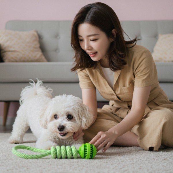 페오펫몰,[여름맞이특가] 예보들 강아지 치석제거 터그놀이 장난감