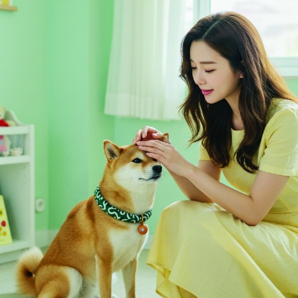 페오펫몰,[여름맞이특가] 예보들 시바견목걸이 강아지방울목걸이 강아지산책목줄 강아지악세사리 강아지인식표 반려동물산책 고양이방울목걸이