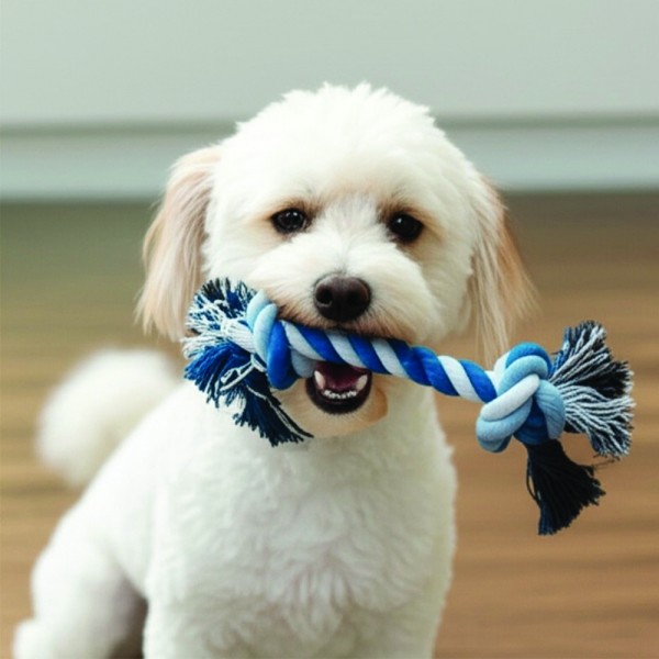 페오펫몰,예보들 강아지 치석제거 장난감 실타래 로프 토이 노즈워크장난감 터그놀이 장난감