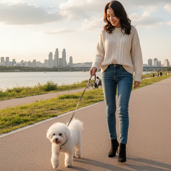 페오펫몰,[예보들][꽃길특가] 예보들 시바견목걸이 강아지방울목걸이 강아지산책목줄 강아지악세사리 강아지인식표 반려동물산책 고양이방울목걸이