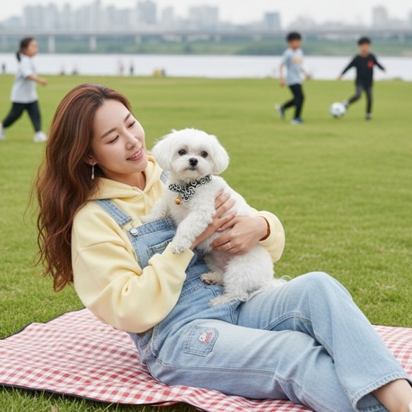 페오펫몰,[예보들][꽃길특가] 예보들 시바견목걸이 강아지방울목걸이 강아지산책목줄 강아지악세사리 강아지인식표 반려동물산책 고양이방울목걸이