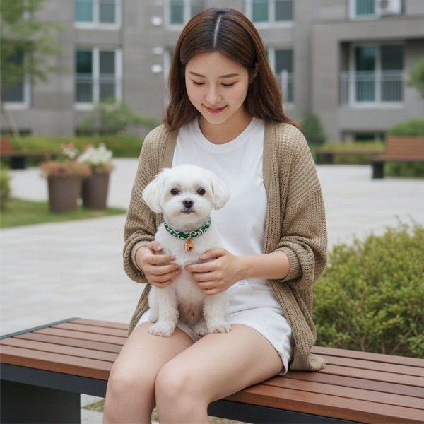 페오펫몰,[예보들][꽃길특가] 예보들 시바견목걸이 강아지방울목걸이 강아지산책목줄 강아지악세사리 강아지인식표 반려동물산책 고양이방울목걸이