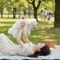 예보들 강아지모자 강아지썬캡 강아지여름모자