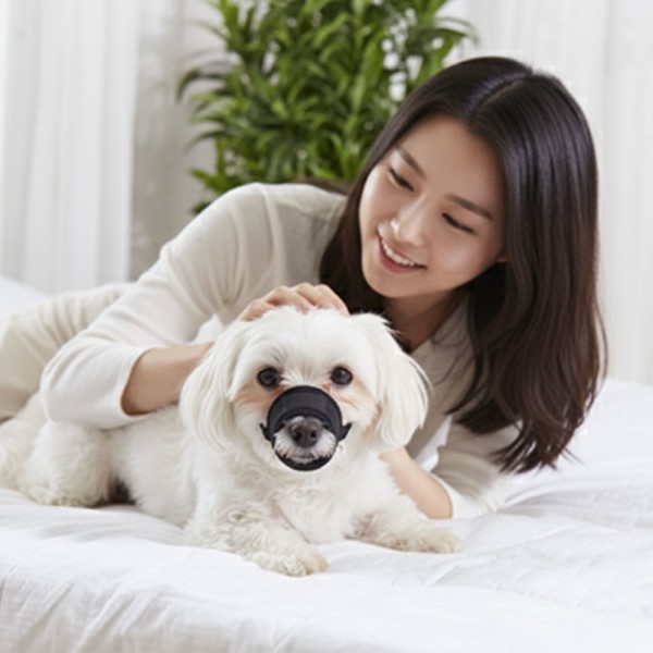 페오펫몰,예보들 강아지 투명입마개 짖음방지기 대형견입마개 소형견입마개