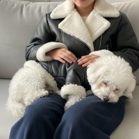 [예보들][꽃길특가] 강아지 무스탕 강아지 올인원 방한복