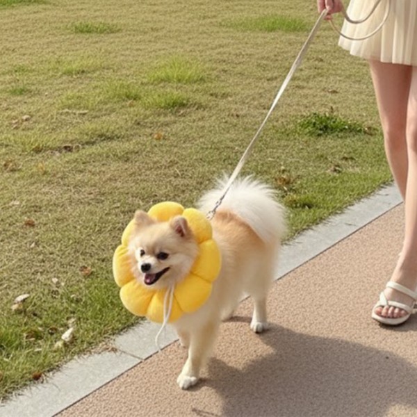 페오펫몰,예보들 고양이넥카라 대형견넥카라 강아지넥쿠션 강아지목보호대