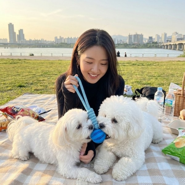 [예보들] 강아지 치석제거 터그놀이 장난감