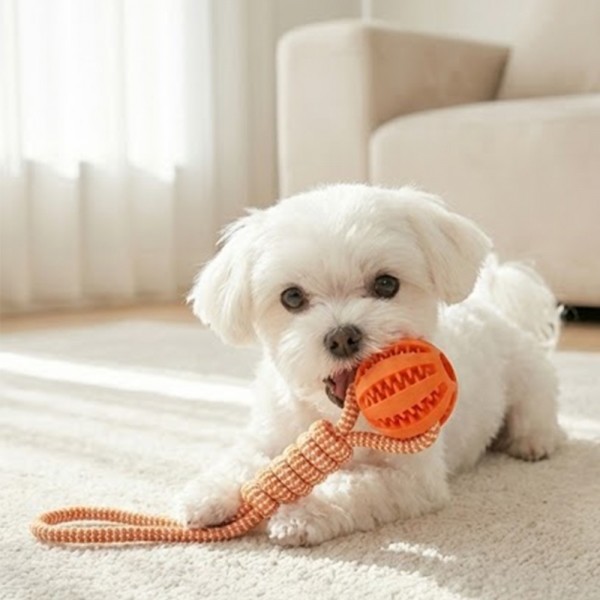 페오펫몰,[예보들] 강아지 치석제거 터그놀이 장난감