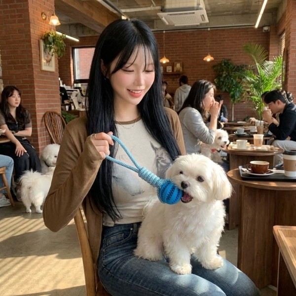 페오펫몰,[예보들] 강아지 치석제거 터그놀이 장난감