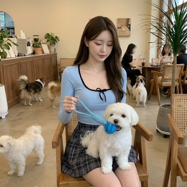 페오펫몰,[예보들] 강아지 치석제거 터그놀이 장난감