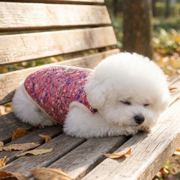 [예보들][꽃길특가] 하네스 필요없는 강아지 누빔 조끼 강아지 패딩 조끼 하네스 일체형 퀼팅 겨울 옷 누빔 산책용 꽃무늬 소형견 중형견