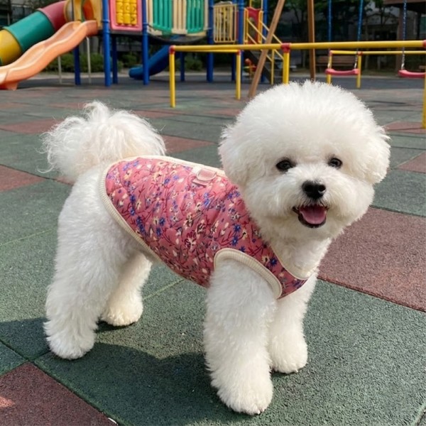 페오펫몰,[예보들][꽃길특가] 하네스 필요없는 강아지 누빔 조끼 강아지 패딩 조끼 하네스 일체형 퀼팅 겨울 옷 누빔 산책용 꽃무늬 소형견 중형견