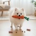 썸네일(스크롤)