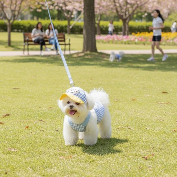 페오펫몰,예보들 새끼 강아지 여름 하네스 고양이하네스 HARNESS 개목줄