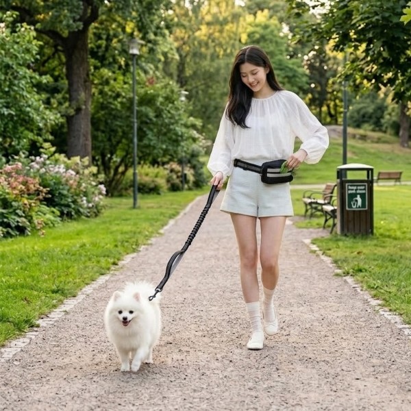 페오펫몰,고탄성 충격흡수 핸즈프리 강아지 리드줄 멀티 산책 파우치 벨트 세트 2종