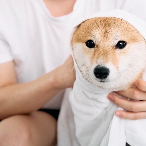 페오펫몰,[카인드버터] 프리미엄 강아지 저자극HP배쓰바 포펫 3종 세트