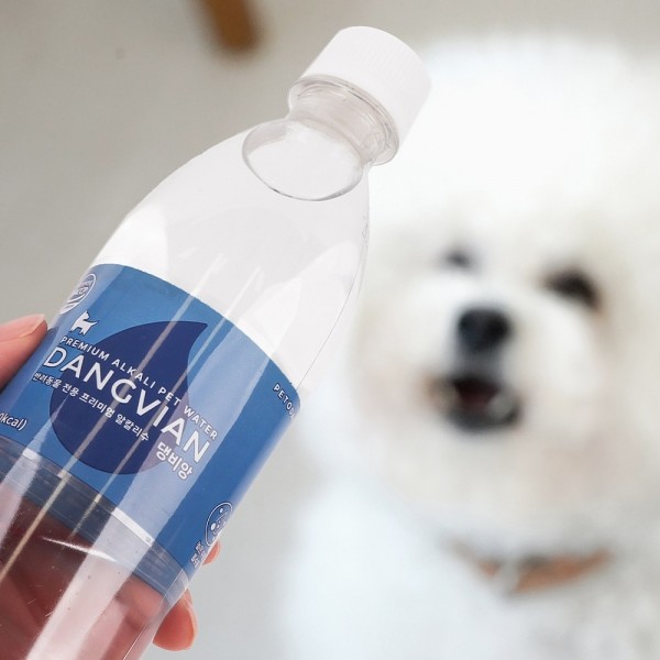 페오펫몰,[꽃길특가] 펫투데이 댕비앙 강아지 음료 음수량 노화방지 프리미엄 알칼리수 500ml 20병