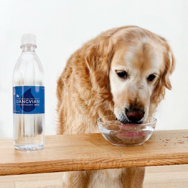 페오펫몰,[꽃길특가] 펫투데이 댕비앙 강아지 음료 음수량 노화방지 프리미엄 알칼리수 500ml 20병