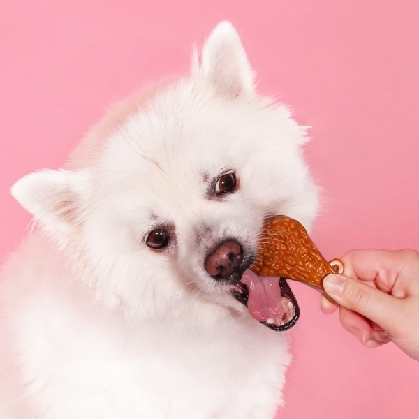 페오펫몰,[새해특가] 펫투데이 댕댕야시장 치석제거 덴탈껌 5개 세트