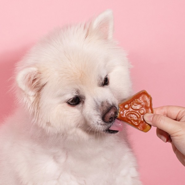 페오펫몰,[새해특가] 펫투데이 댕댕야시장 치석제거 덴탈껌 5개 세트