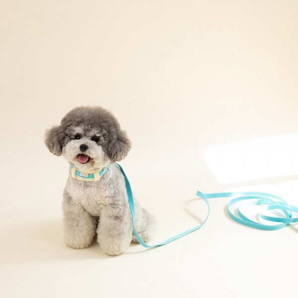 페오펫몰,[힛찌] 초경량 강아지리드줄 부드럽고 튼튼한 핸즈프리 산책줄 초소형견 소형견 중형견 강아지리쉬 1.5M 2M 3M