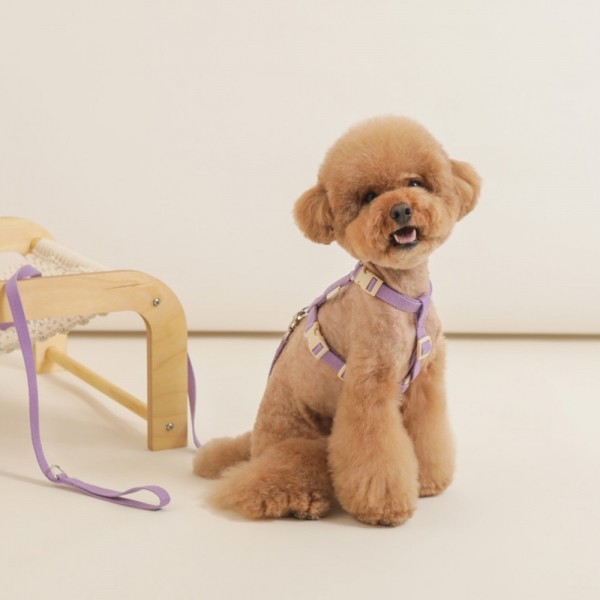페오펫몰,[힛찌] 초경량 강아지리드줄 부드럽고 튼튼한 핸즈프리 산책줄 초소형견 소형견 중형견 강아지리쉬 1.5M 2M 3M