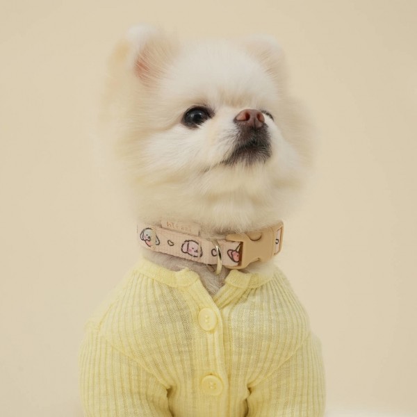 페오펫몰,[힛찌] 초경량 패턴 강아지목줄 고양이목줄 부드러운 초소형견 소형견 중형견 목줄