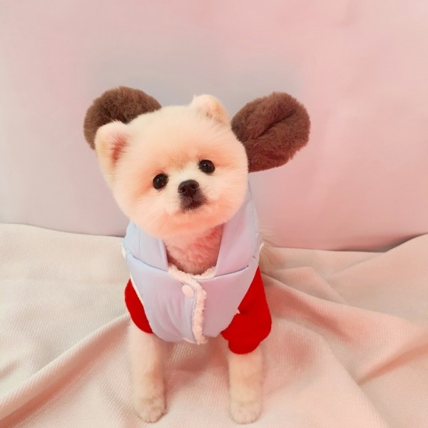 페오펫몰,[패션독] 곰후드 뽀글 패딩 조끼 점퍼강아지옷,강아지패션,애견의류,애견패션