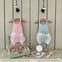 [고퀄리티]국내제작 지금부터 매일 입기 좋은 샤인올인원