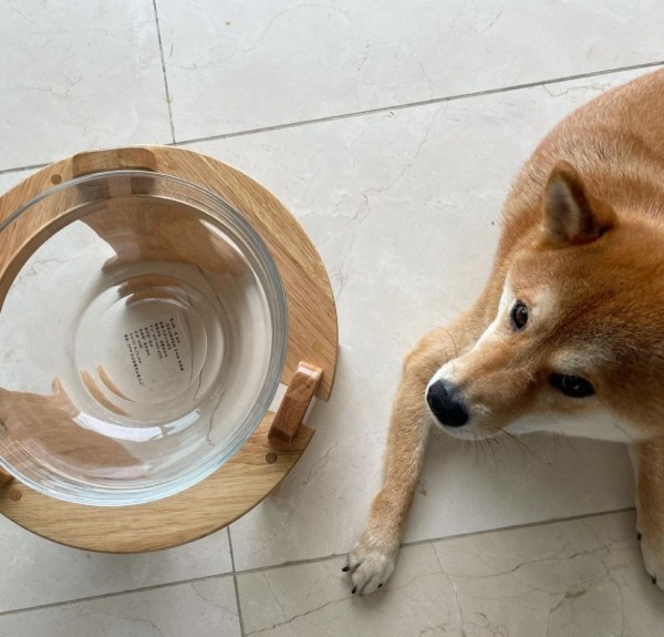 페오펫몰,캣토피아 대형견 밥그릇 거치대 강아지 대용량 유리볼 물그릇 식기