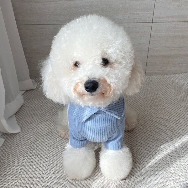 페오펫몰,그루밍독 후끈 하이넥 티셔츠 S-2XL, 3 colors