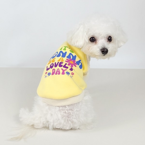 페오펫몰,[꽃길특가] 그루밍독 반려동물 커플룩 러블리 데이 기모 맨투맨 티셔츠 S-2XL, 3 colors & 견주용 원피스