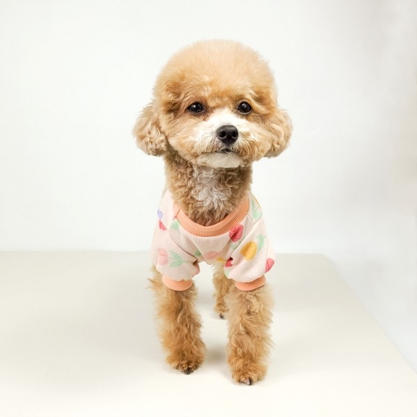 페오펫몰,[꽃길특가] 그루밍독 반려동물 봄봄 크롭 맨투맨 S-2XL, 3 colors