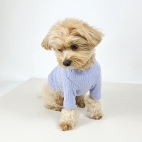 그루밍독 반려동물 솜사탕 데일리 티셔츠 S-2XL, 4 colors