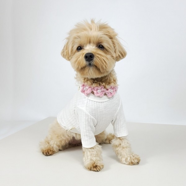 페오펫몰,그루밍독 반려동물 솜사탕 데일리 티셔츠 S-2XL, 4 colors