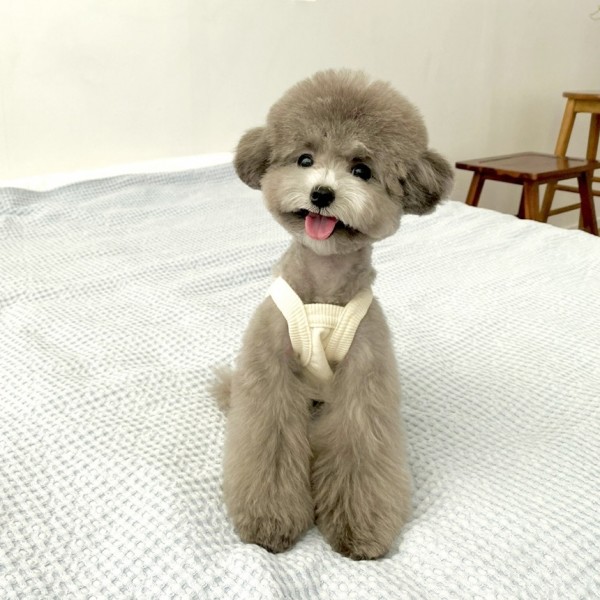 페오펫몰,그루밍독 커플룩 강아지옷 모닝 나시 올인원 S-2XL, 4 colors