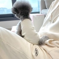 그루밍독 커플룩 견주옷 모닝 트레이닝 조거 팬츠 FREE, 4 colors