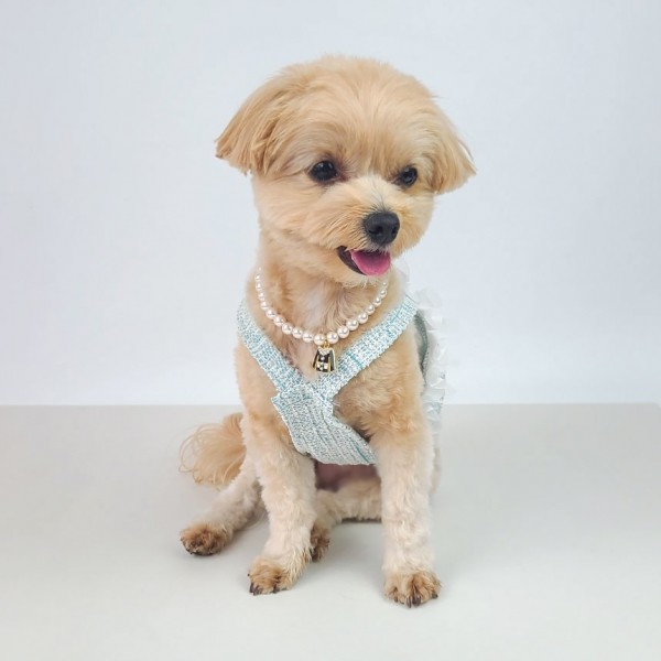 페오펫몰,그루밍독 반려동물 블링 트위드 나시 S-2XL, 2 colors