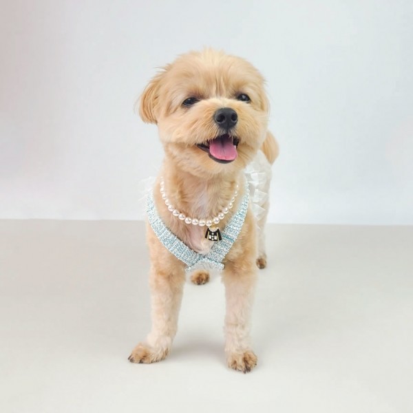 페오펫몰,그루밍독 반려동물 블링 트위드 나시 S-2XL, 2 colors