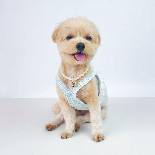 페오펫몰,그루밍독 반려동물 블링 트위드 나시 S-2XL, 2 colors