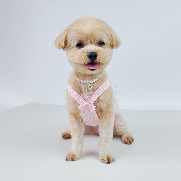 페오펫몰,그루밍독 반려동물 블링 트위드 나시 S-2XL, 2 colors