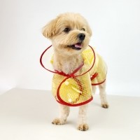 그루밍독 반려동물 해피도트 투명 우비 S-2XL, 3 colors