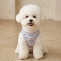 그루밍독 반려동물 프레시 단가라 민소매 S-2XL, 3colors