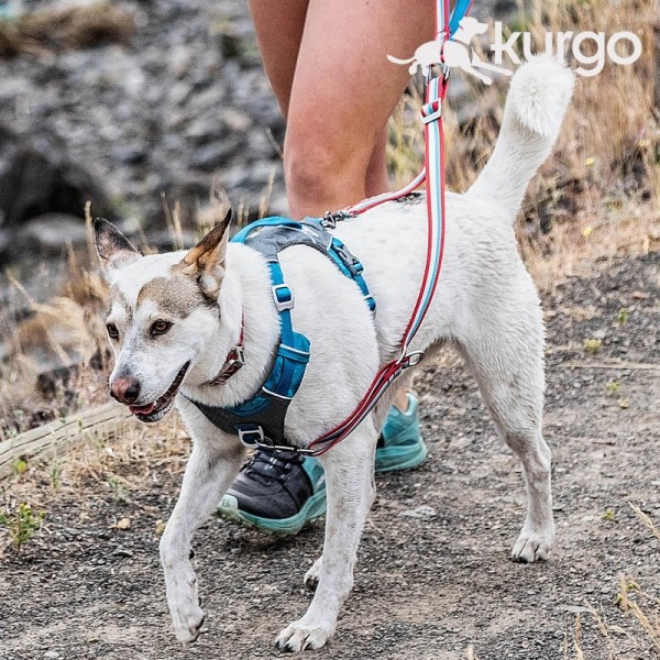 페오펫몰,커고 워크 어바웃 폴딩 리드줄 강아지 더블 듀얼 리쉬