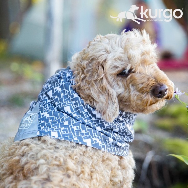 페오펫몰,커고 스크럽 스카프