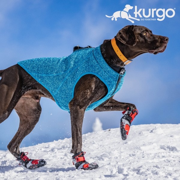 페오펫몰,커고 블레이즈 크로스 신발