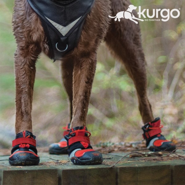 페오펫몰,커고 블레이즈 크로스 신발