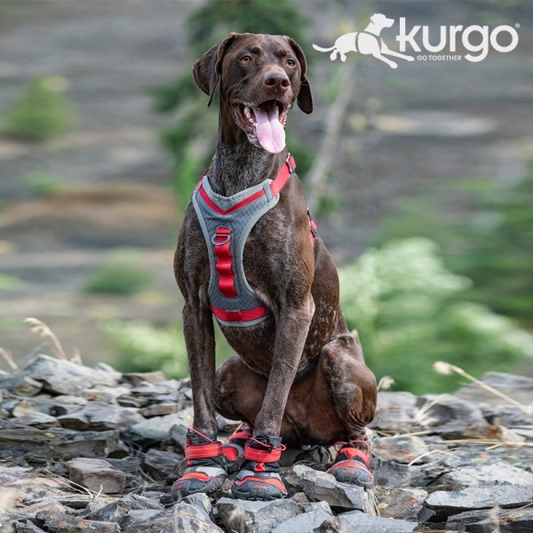 페오펫몰,커고 블레이즈 크로스 신발